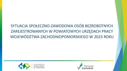 Zdjęcie artykułu Raport Sytuacja społeczno-zawodowa zarejestrowanych osób...